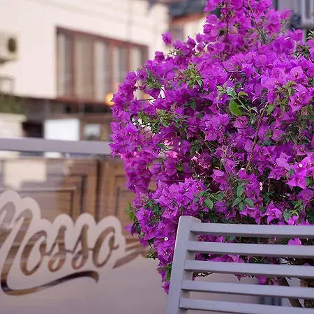 Mosso Boutique