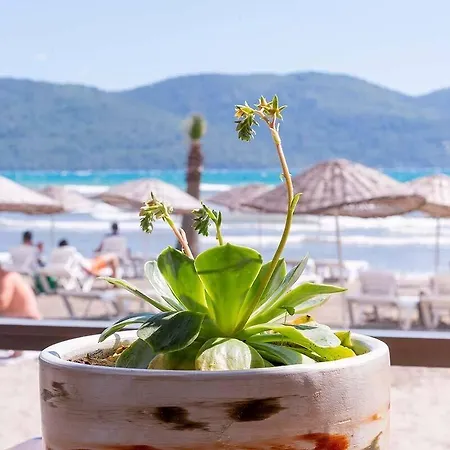 Ξενοδοχείο Mosso Boutique *